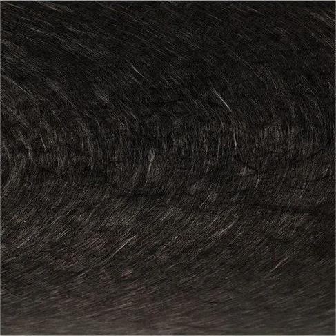 Carbon Fiber Reinforced Composite